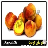 فروش ارائه گونه های متنوع درخت میوه در ساری در گروه خرید و فروش نهال میوه در یکمیوه