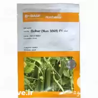 قیمت خرید بذر خیار گوهر در یزد در گروه خرید و فروش بذر خیار در یکمیوه