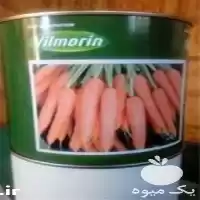فروش بذر هویج ویلمورین پریستو در مشهد در گروه خرید و فروش بذر هویج در یکمیوه