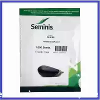 فروش بذر بادمجان لامپی دنیز سمینیس در هرمز در گروه خرید و فروش بذر بادمجان در یکمیوه