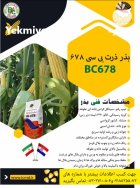 بذر ذرت با قوه نامیه بالا در کرمانشاه در گروه خرید و فروش ذرت در یکمیوه