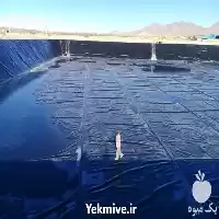 فروش اجرای استخر های کشاورزی در ساری در گروه خرید و فروش استخر کشاورزی در یکمیوه