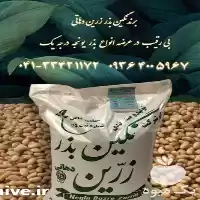 فروش بذر یونجه نیکشهری در خرم‌ آباد در گروه خرید و فروش بذر یونجه در یکمیوه