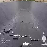 فروش اجرای استخر پلیمری در اصفهان در گروه خرید و فروش استخر کشاورزی در یکمیوه