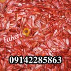 فروش بذر تخمه آفتابگردان اس 400 در ارومیه در گروه خرید و فروش انواع تخمه در یکمیوه