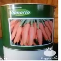 فروش قیمت بذر هویج پریستو محصول در شیراز در گروه خرید و فروش انواع بذر در یکمیوه