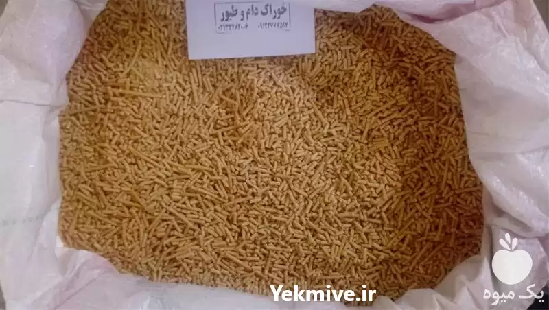 فروش دان پرندگان خوراک بوقلمون کبک در گروه مرغ و خروس و بوقلمون و اردک قو قاز در یکمیوه -عکس1