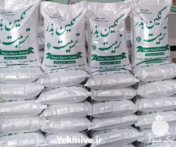 قیمت بذر یونجه فروش بذر در گروه خرید و فروش بذر یونجه در یکمیوه -عکس1