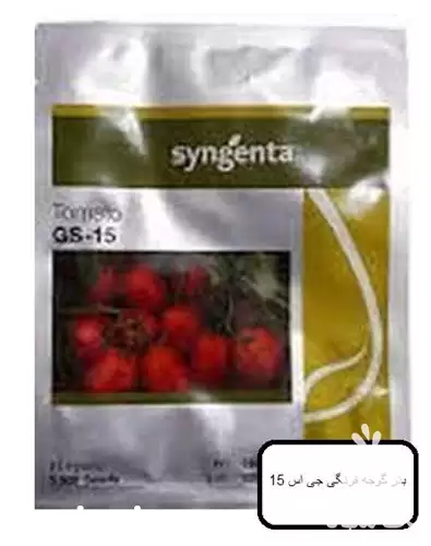 قیمت خرید بذر گوجه فرنگی gs در یزد در گروه خرید و فروش بذر گوجه در یکمیوه -عکس1