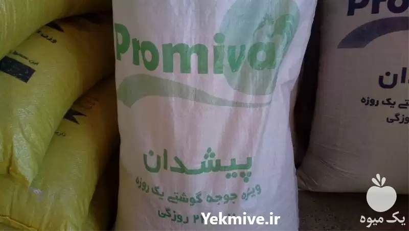 فروش پیش دان طیور عرضه پیش در تهران در گروه خوراک دام و طیور در یکمیوه -عکس1