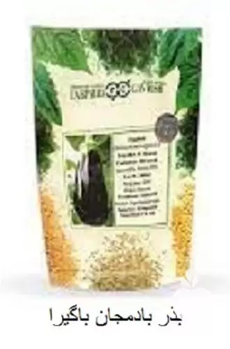 فروش قیمت بذر بادمجان باگیرا در یزد در گروه خرید و فروش بذر بادمجان در یکمیوه -عکس1
