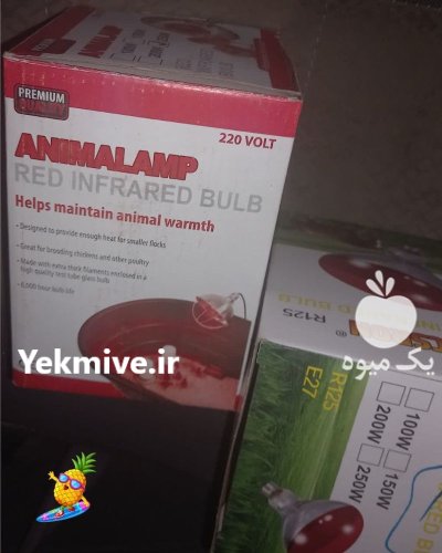 قیمت استثنایی لامپ حرارتی فصل سرد در گروه خرید و فروش لامپ رشد در یکمیوه -عکس1
