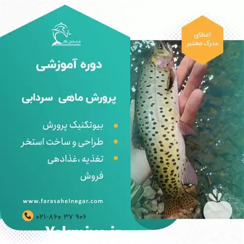 دوره جامع کامل پرورش ماهی سرد در تهران در گروه خرید و فروش انواع ماهی در یکمیوه -عکس1