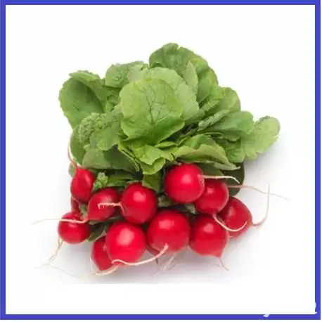 فروش بذر تربچه هیبرید چری بل در هرمز در گروه خرید و فروش انواع بذر در یکمیوه -عکس1