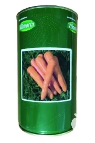 فروش بذر هویج سیرانو در گروه خرید و فروش بذر هویج در یکمیوه -عکس1