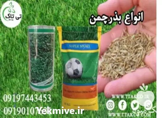 بذر چمن صادراتی در گروه سازنده در یکمیوه -عکس1