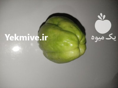 میوه ارگانیک نایاب چایوت در گروه خرید و فروش میوه استوایی در یکمیوه -عکس1