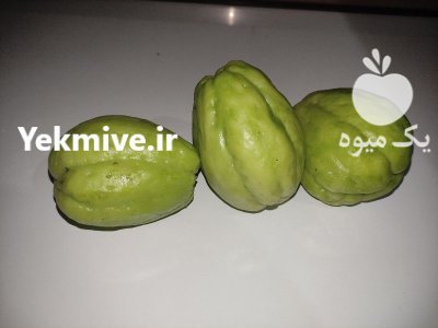 میوه ارگانیک نایاب چایوت در گروه خرید و فروش میوه استوایی در یکمیوه -عکس3