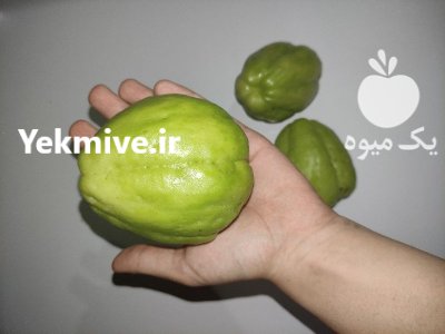 میوه ارگانیک نایاب چایوت در گروه خرید و فروش میوه استوایی در یکمیوه -عکس4