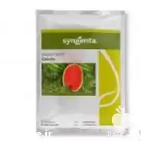 فروش بذر هندوانه گالینا در تهران در گروه خرید و فروش بذر هندوانه در یکمیوه