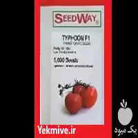 قیمت خرید بذر گوجه فرنگی تایفون در یزد در گروه خرید و فروش بذر گوجه در یکمیوه