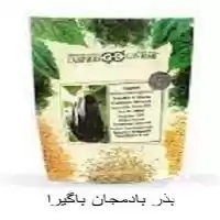 فروش قیمت بذر بادمجان باگیرا در یزد در گروه خرید و فروش بذر بادمجان در یکمیوه