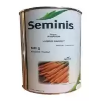 بذر هویج کارینا سیمینس فروش در مشهد در گروه خرید و فروش بذر هویج در یکمیوه