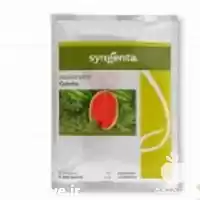 قیمت خرید بذر هندوانه گالینا معرف در همدان در گروه خرید و فروش بذر هندوانه در یکمیوه