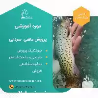 دوره جامع کامل پرورش ماهی سرد در تهران