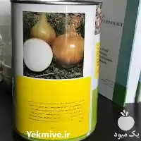 عرضه و فروش بذر پیاز چلسی در مشهد در گروه خرید و فروش بذر پیاز در یکمیوه