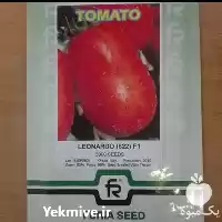 فروش ارزان بذر گوجه فرنگی پرمحصول در همدان در گروه خرید و فروش بذر گوجه در یکمیوه