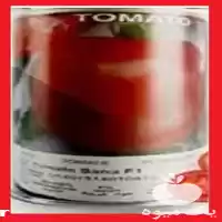 فروش قیمت گوجه فرنگی ثنا کلم در گروه خرید و فروش گوجه فرنگی در یکمیوه