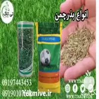 بذر چمن صادراتی در گروه سازنده در یکمیوه