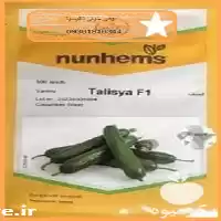 فروش بذر خیار گلخانه ای تالیسیا در همدان در گروه خرید و فروش بذر خیار در یکمیوه