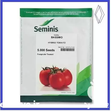قیمت خرید بذر گوجه باسیمو سمینیس در هرمز در گروه خرید و فروش بذر گوجه در یکمیوه -عکس1