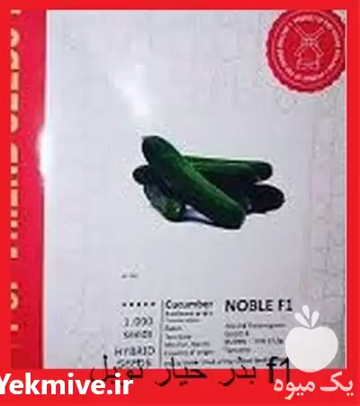 قیمت خرید قیمت بذر خیار نوبل در مشهد در گروه خرید و فروش بذر خیار در یکمیوه -عکس1