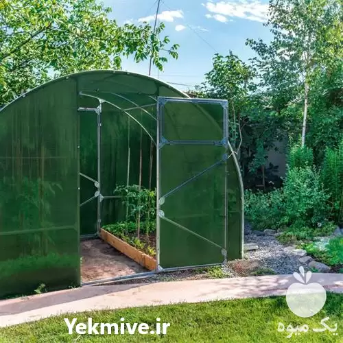 توری شید پرورش ماهی در گروه خرید و فروش توری گلخانه در یکمیوه -عکس1