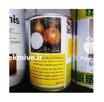 فروش بذر پیاز CHELSEA انزا در اهواز در گروه خرید و فروش بذر پیاز در یکمیوه -عکس1