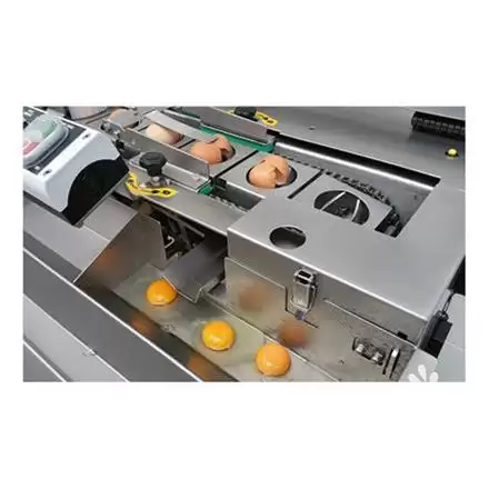 فروش خط فرآوری تخم مرغ در اصفهان در گروه خرید و فروش خط تولید در یکمیوه -عکس1