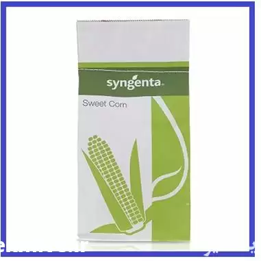 فروش ارسال بذر ذرت شیرین اکسن در هرمز در گروه خرید و فروش بذر ذرت در یکمیوه -عکس1