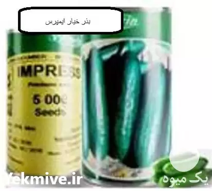 فروش قیمت بذر خیار ایمپرس بذر در همدان در گروه خرید و فروش بذر خیار در یکمیوه -عکس1