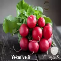 قیمت خرید بذر تربچه روبیس اماسید در هرمز در گروه خرید و فروش بذر سبزی در یکمیوه