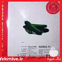 قیمت خرید قیمت بذر خیار نوبل در مشهد در گروه خرید و فروش بذر خیار در یکمیوه