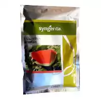 فروش بذر هندوانه آراشان در یزد در گروه خرید و فروش بذر هندوانه در یکمیوه