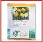 فروش بذر ملون GALA 688 SUPER در گروه خرید و فروش بذر ملون در یکمیوه