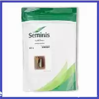 قیمت خرید بذر کدو سبز تک در گروه خرید و فروش بذر کدو در یکمیوه