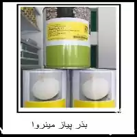 فروش بذر پیاز مینروا در مشهد در گروه خرید و فروش بذر پیاز در یکمیوه