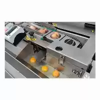 فروش خط فرآوری تخم مرغ در اصفهان در گروه خرید و فروش خط تولید در یکمیوه