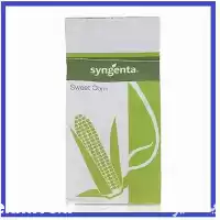 فروش ارسال بذر ذرت شیرین اکسن در هرمز در گروه خرید و فروش بذر ذرت در یکمیوه