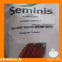 قیمت خرید و عرضه بذر هویج در یزد در گروه خرید و فروش بذر هویج در یکمیوه